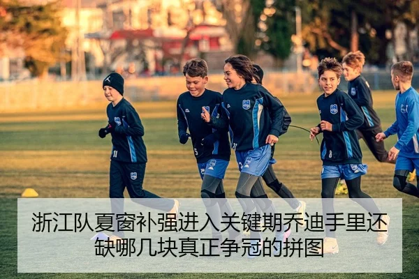 浙江队夏窗补强进入关键期乔迪手里还缺哪几块真正争冠的拼图